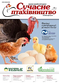 Логотип заголовку сторінки